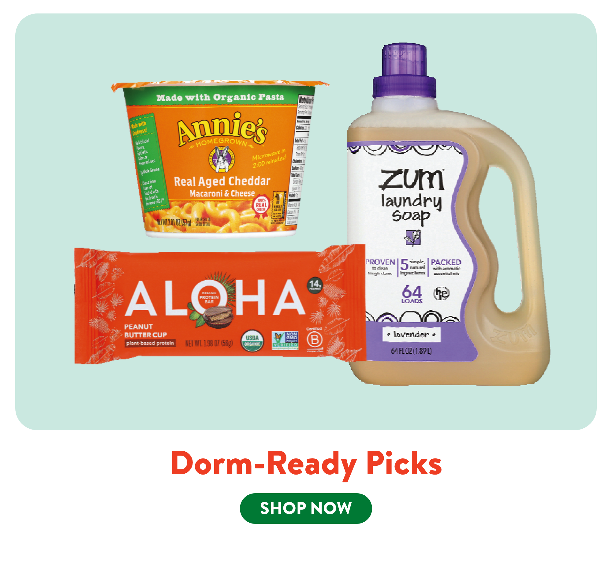 Dorm Ready Picks: feature1_4