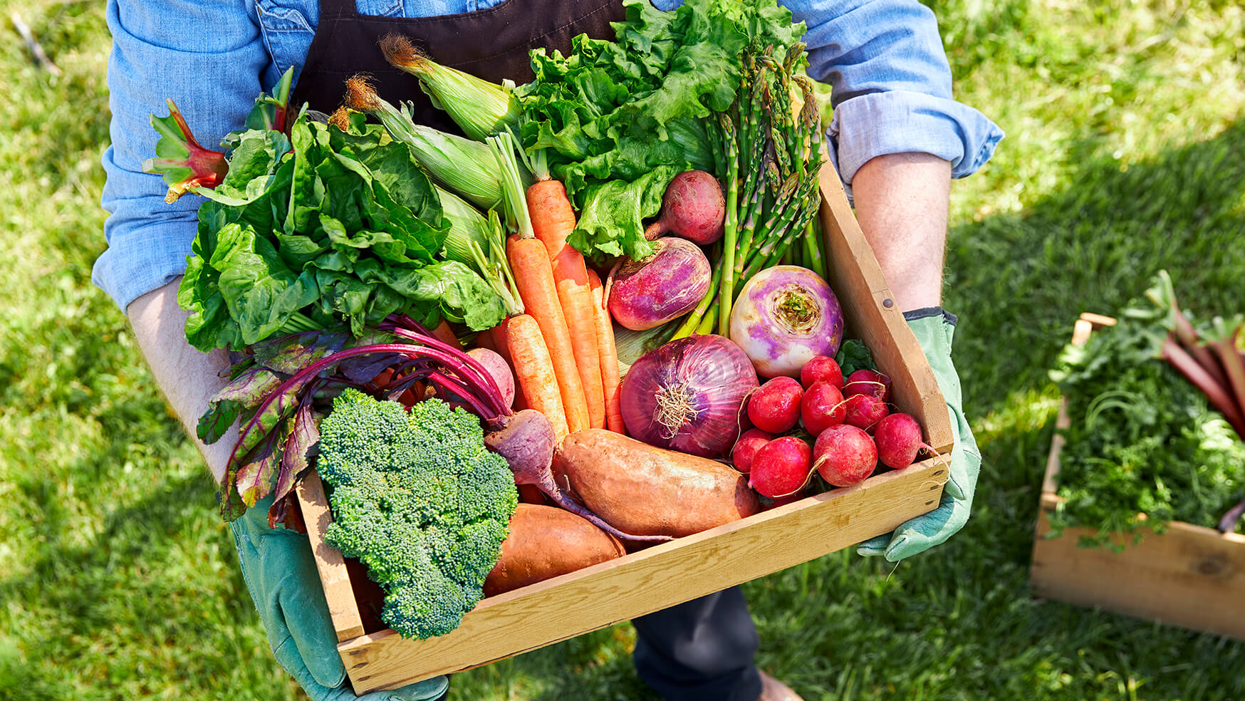 From Farm To Fresh Thyme - How Produce Gets To Your Store